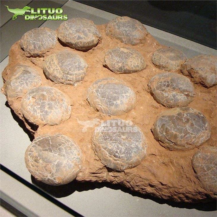 4Dinosaur fossil egg(001)