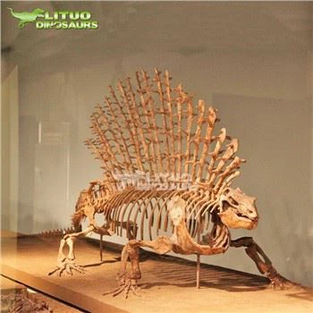 اسکلت ادافوسور