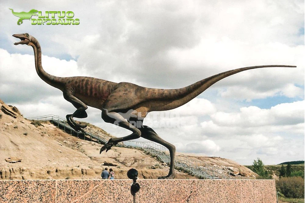 how to identify dinosaur 5 how to identify dinosaur 5